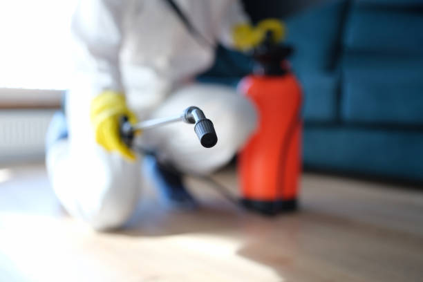 Professional Mold Removal in Luckey, OH